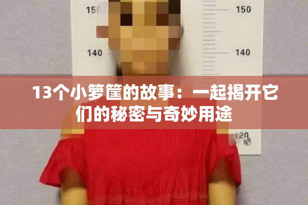 13个小箩筐的故事：一起揭开它们的秘密与奇妙用途