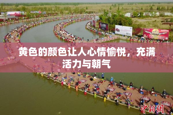 黄色的颜色让人心情愉悦，充满活力与朝气