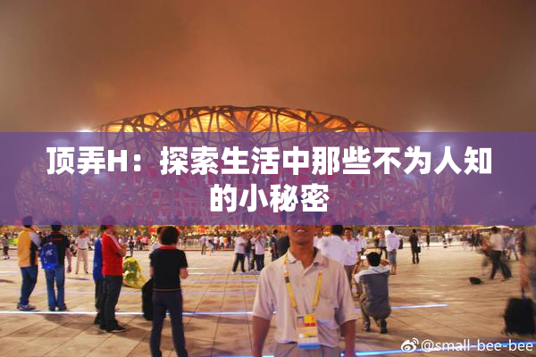 顶弄H：探索生活中那些不为人知的小秘密