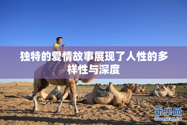 独特的爱情故事展现了人性的多样性与深度