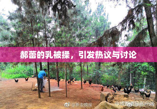 郝蕾的乳被揉，引发热议与讨论