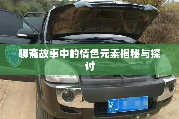 聊斋故事中的情色元素揭秘与探讨