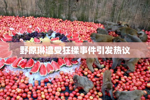 野原琳遭受狂揉事件引发热议