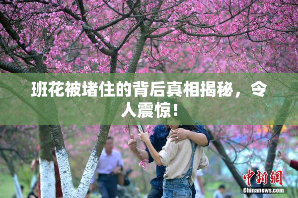 班花被堵住的背后真相揭秘，令人震惊！