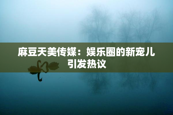 麻豆天美传媒：娱乐圈的新宠儿引发热议