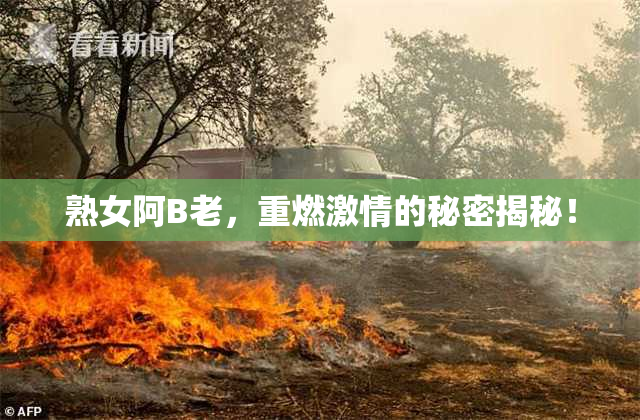 熟女阿B老，重燃激情的秘密揭秘！