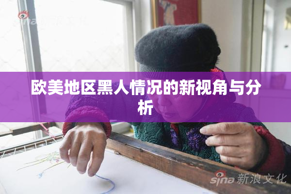 欧美地区黑人情况的新视角与分析
