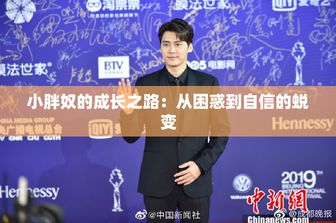 小胖奴的成长之路：从困惑到自信的蜕变