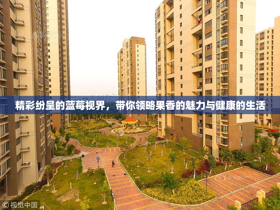 精彩纷呈的蓝莓视界，带你领略果香的魅力与健康的生活