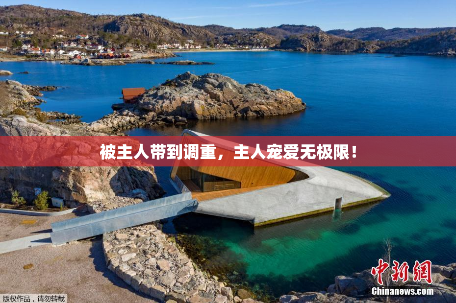 被主人带到调重，主人宠爱无极限！