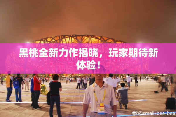 黑桃全新力作揭晓，玩家期待新体验！