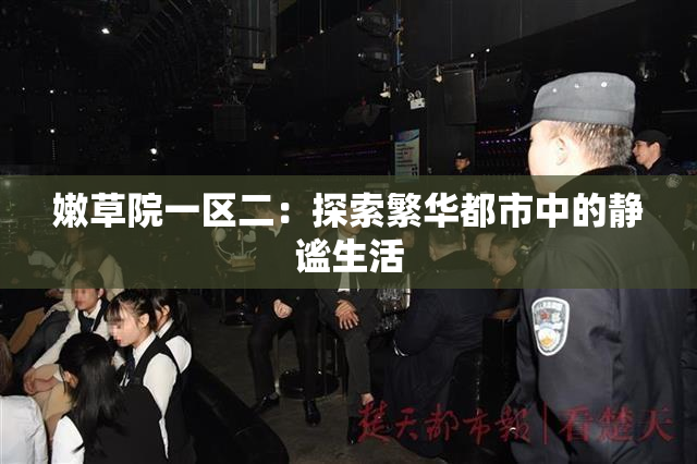 嫩草院一区二：探索繁华都市中的静谧生活