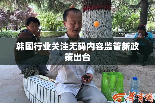 韩国行业关注无码内容监管新政策出台