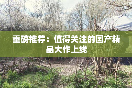 重磅推荐：值得关注的国产精品大作上线