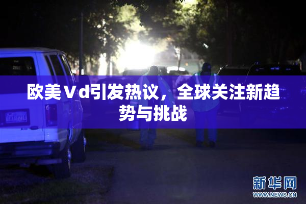 欧美Ⅴd引发热议，全球关注新趋势与挑战