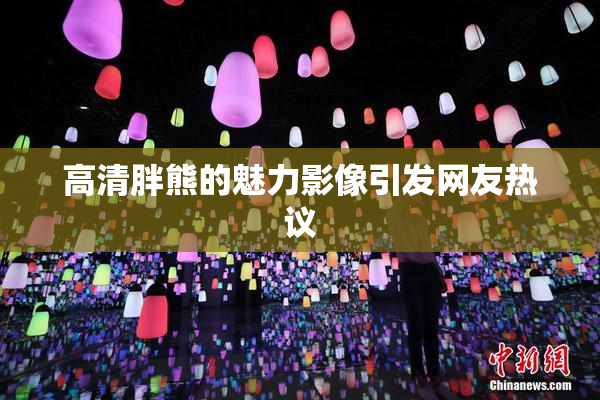高清胖熊的魅力影像引发网友热议
