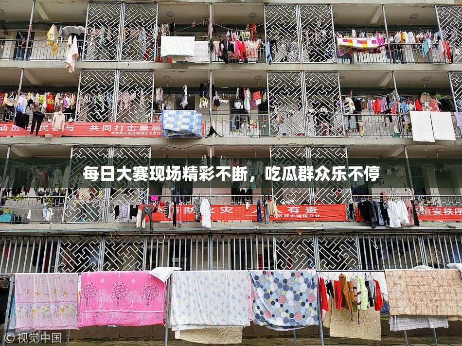 每日大赛现场精彩不断，吃瓜群众乐不停