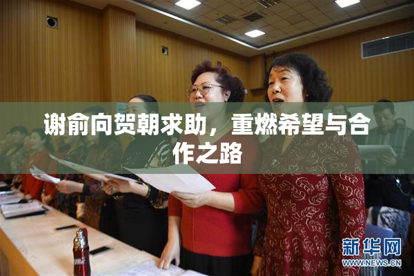 谢俞向贺朝求助，重燃希望与合作之路