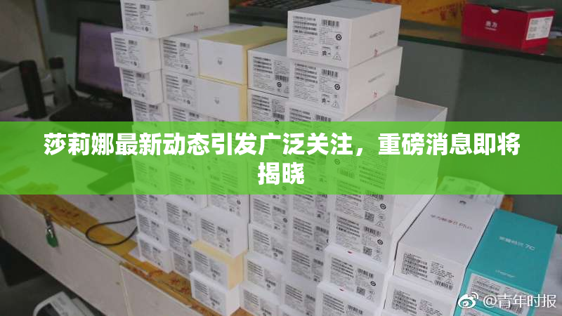 莎莉娜最新动态引发广泛关注，重磅消息即将揭晓