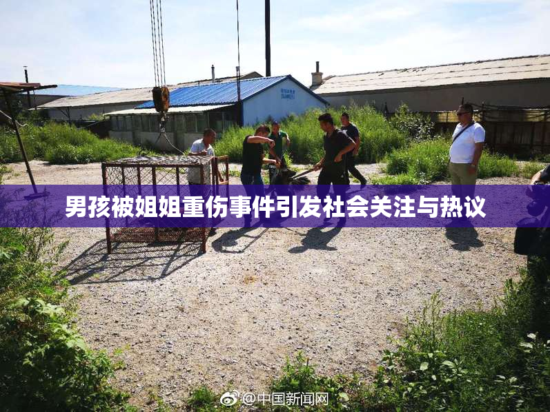 男孩被姐姐重伤事件引发社会关注与热议