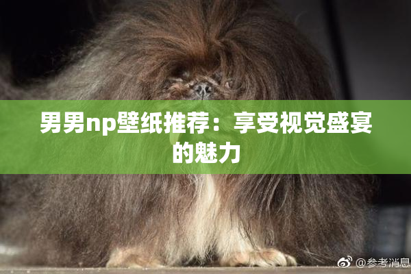 男男np壁纸推荐：享受视觉盛宴的魅力