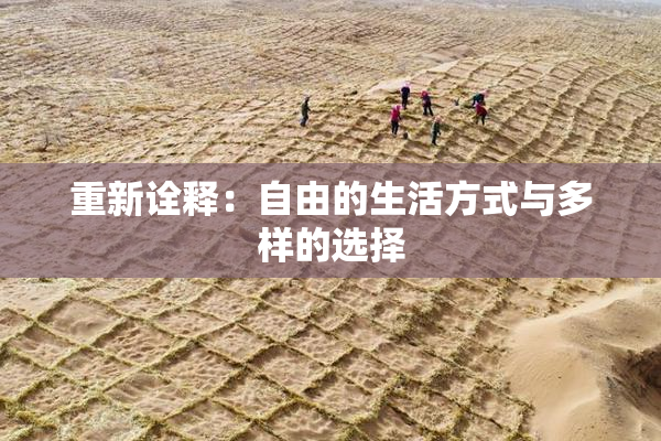 重新诠释：自由的生活方式与多样的选择