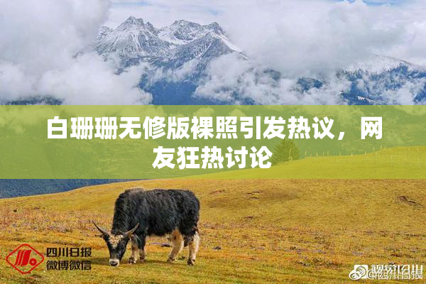 白珊珊无修版裸照引发热议，网友狂热讨论