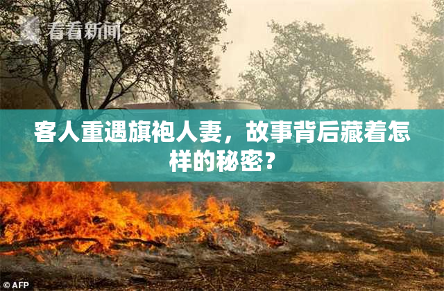 客人重遇旗袍人妻，故事背后藏着怎样的秘密？