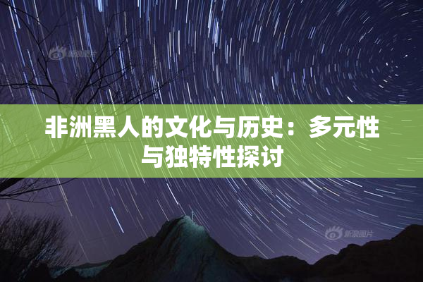 非洲黑人的文化与历史：多元性与独特性探讨