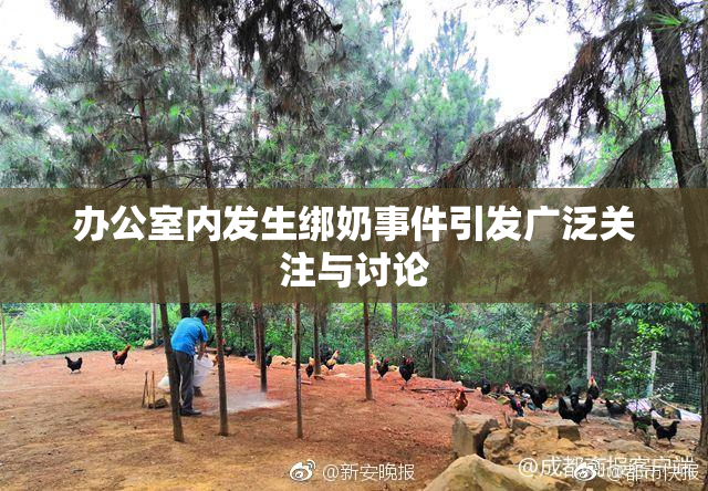 办公室内发生绑奶事件引发广泛关注与讨论
