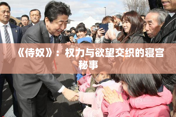 《侍奴》：权力与欲望交织的寝宫秘事