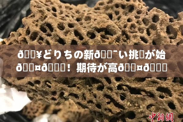 🔥どりちの新🔯い挑戦が始🖤🌃！期待が高🖤🌃展開