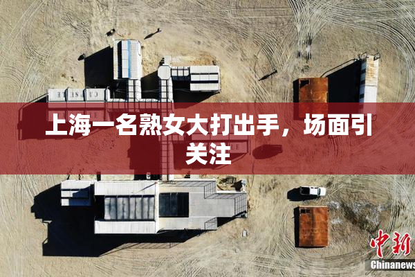 上海一名熟女大打出手，场面引关注