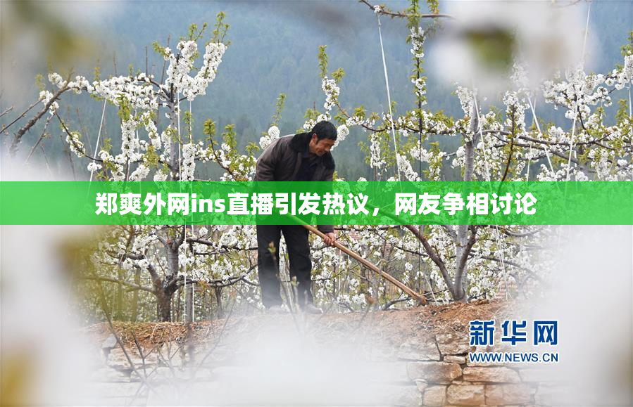 郑爽外网ins直播引发热议，网友争相讨论