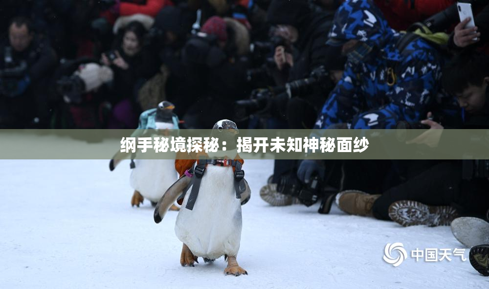 纲手秘境探秘：揭开未知神秘面纱