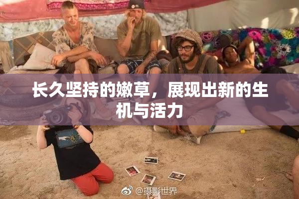 长久坚持的嫩草，展现出新的生机与活力