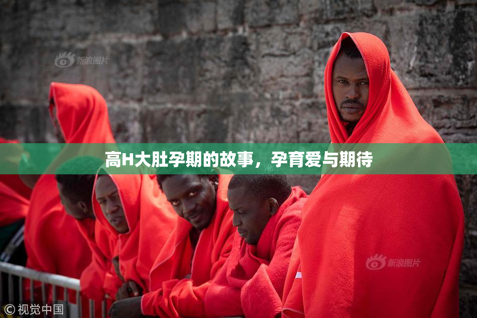 高H大肚孕期的故事，孕育爱与期待