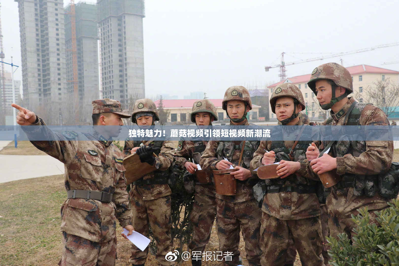独特魅力！蘑菇视频引领短视频新潮流