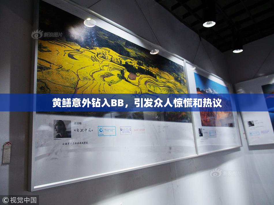 黄鳝意外钻入BB，引发众人惊慌和热议
