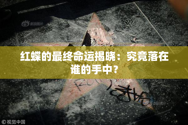 红蝶的最终命运揭晓：究竟落在谁的手中？
