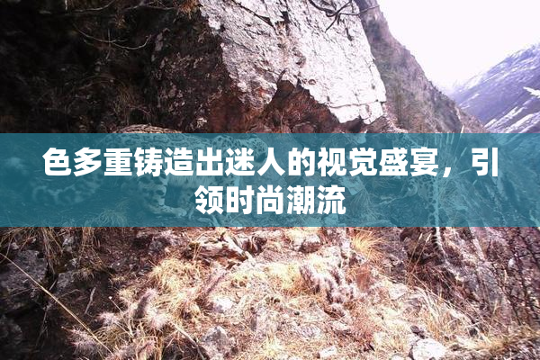 色多重铸造出迷人的视觉盛宴，引领时尚潮流