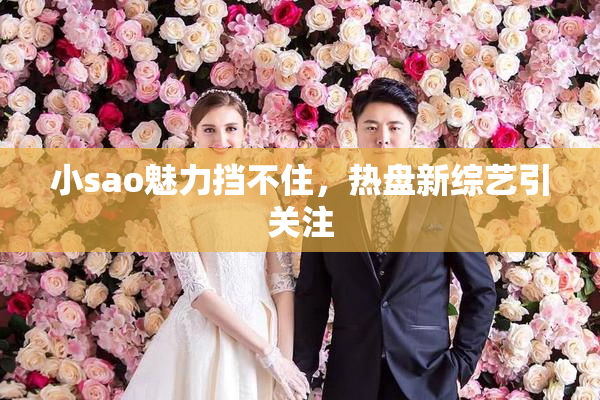 小sao魅力挡不住，热盘新综艺引关注
