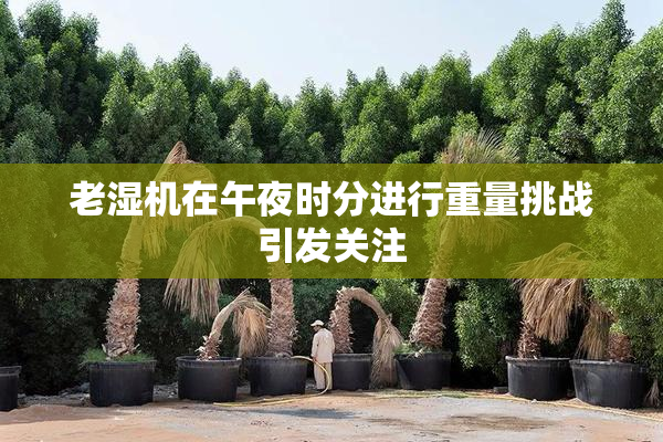 老湿机在午夜时分进行重量挑战引发关注