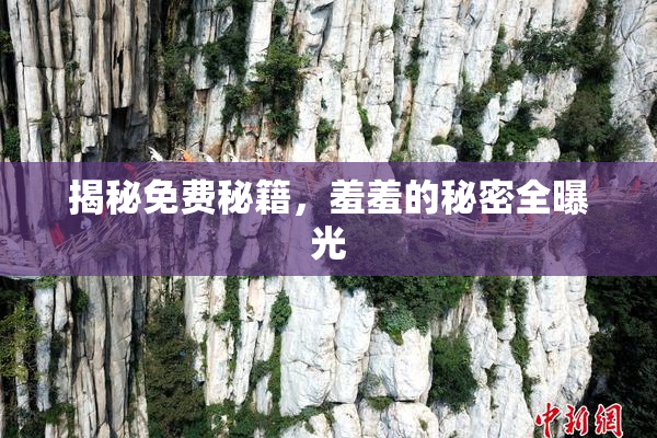揭秘免费秘籍，羞羞的秘密全曝光