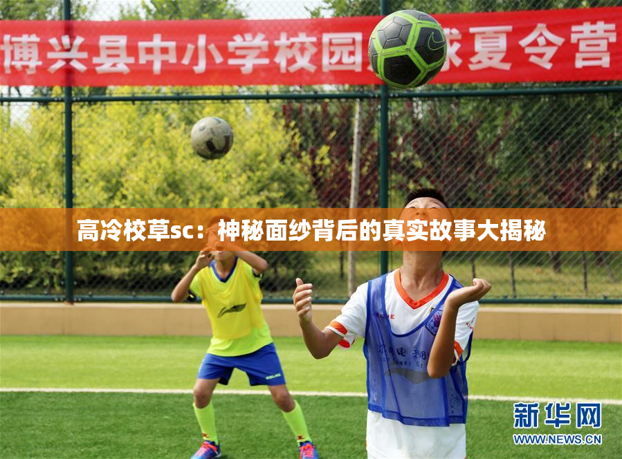 高冷校草sc：神秘面纱背后的真实故事大揭秘