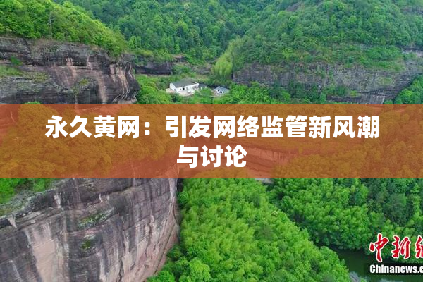 永久黄网：引发网络监管新风潮与讨论