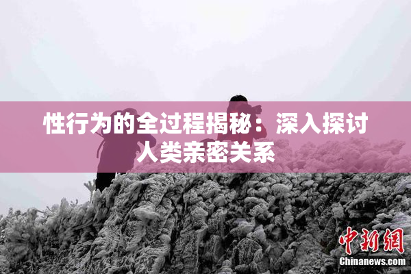 性行为的全过程揭秘：深入探讨人类亲密关系