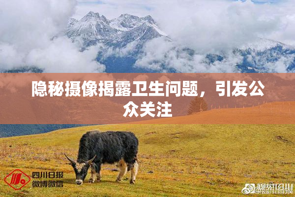 隐秘摄像揭露卫生问题，引发公众关注