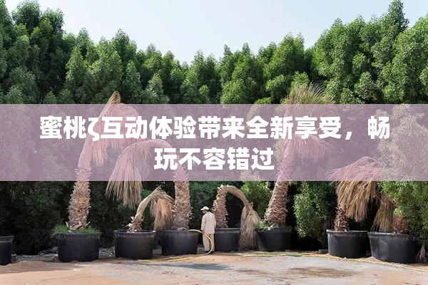 蜜桃ζ互动体验带来全新享受，畅玩不容错过
