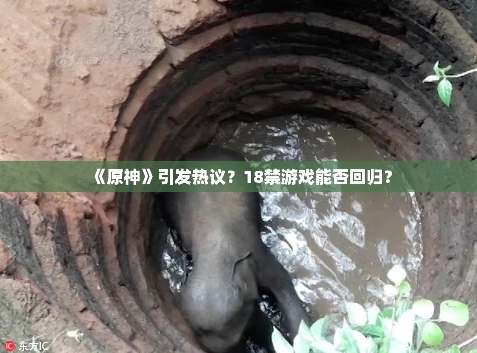 《原神》引发热议？18禁游戏能否回归？
